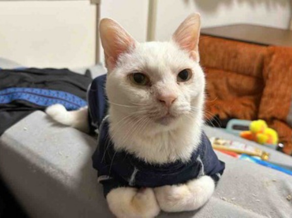 泣かないはずだった　20260227