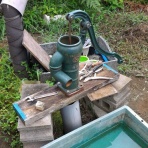 定年後・田舎作って・コメ野菜