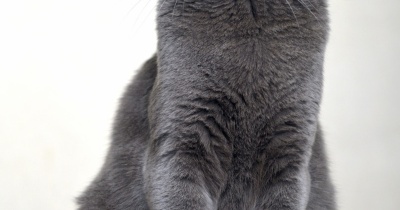 レオーンの生活２