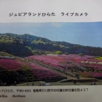 私ってガン？