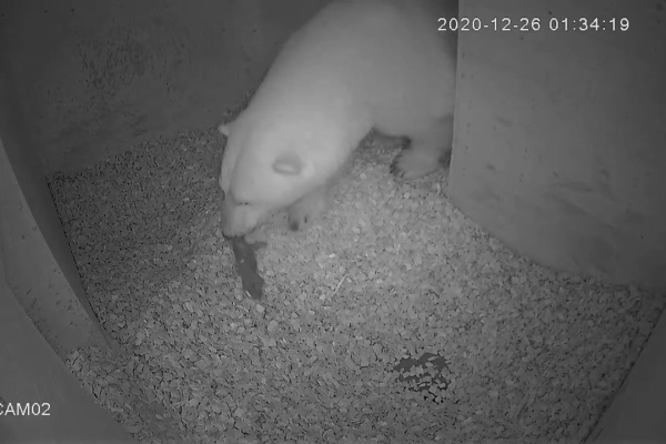 秋田ニュースあんてな