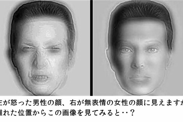 おとぼけワールドワイド 海外のイラスト