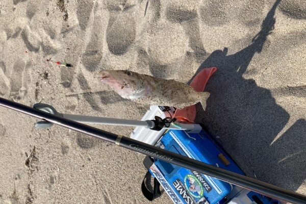 リアルチャレンジ ライトキス