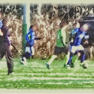 サソリのフットボール奮闘記