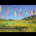 鯉のぼり[soundtrack][空間オーディオ]