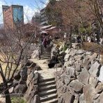 30代転職組・新間草海先生の『叱らないでもいいですか』