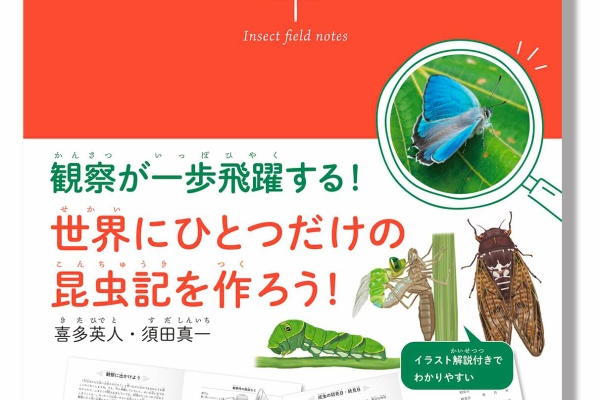 昆虫フィールド 16冊 昆虫フィールド 75号 (発売日2011年06月01日) | 雑誌/定期購読の