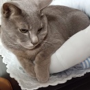 可愛いグリと、そこにやってきたビビ