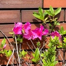 3月31日(火) (^O^)／