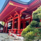 『藤崎八幡宮献茶祭　熊本支部』の画像