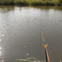 ����ä���¤ǴȽФ�����ޤ���(^^)/�������á� ���㵡�ν����������ͽ�ꤷ�Ƥ�����.....����������(,,•﹏•,,)