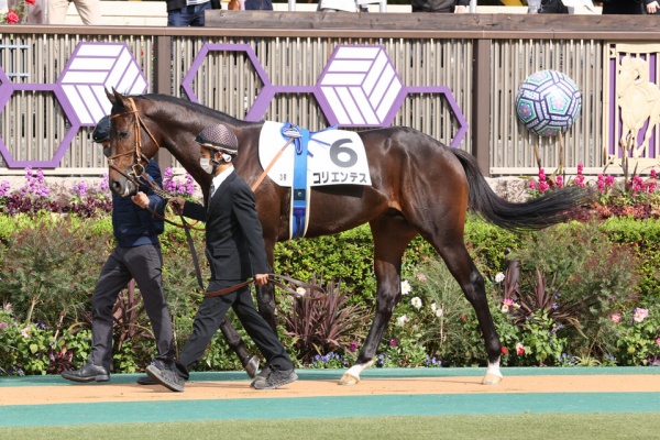 気ままにメモリアル コリエンテス