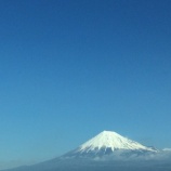 『最近のツイートより』の画像