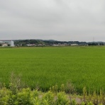 市原市に憲法と地方自治を活かす会