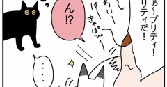毛
