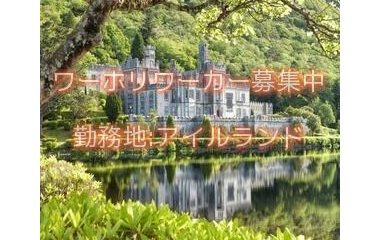 『アイルランドワーホリ求人情報』の画像