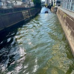 ひとりぼっちのお祭り