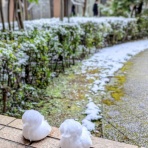 シーガル・バレーボールスクールのblog