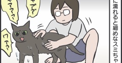 猫たちをお風呂に入れたら…