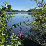 もみの木一家の　はちゃめちゃスロー・ライフ