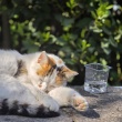トルコにきております！