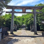 努力の上に花は咲くⅡ