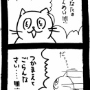 どうしても保護猫を迎えたかった知人の話34