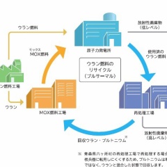 2029年「プルサーマル発電」再開！世界ではフランスだけ プルサーマルとは何か？