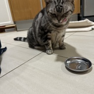 ぱずたんのお誕生日御膳