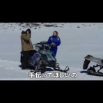 水面下の白鳥デイズ