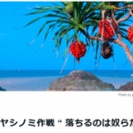 政策形成ブログ