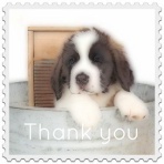 Rareplan＋稀企画＋