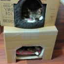 長生きを希望する老母だけれど、食事量が減り体重は３０ｋｇ