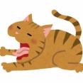 【姐さん乙です】家の狭い庭にワラワラと猫がいた。その話をしたら庭に出ていく嫁。その後子どもたちから嫁の衝撃の事実が→【愛人疑惑】