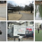 シニアの日記パート２