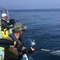 260517のブリジギング