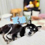 かぼすちゃんとおさんぽ。