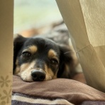  Every day is a good day