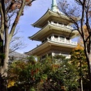 墨田区 横綱町公園の晩秋を訪ねて:２０２５(令和７年１１月)