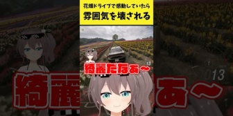 【ホロライブ】花畑ドライブで感動していたら雰囲気を壊されるまつり