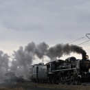 SL村上ひな街道 その２ 2026/03/21