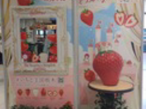Mirror and Berry