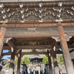 時々ブログ(ななとの新生活日記＆サラとの新生活日記＆ラフィとあみの帰ったらごはん）