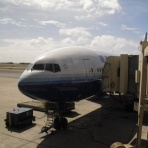 ラスベガスでヴィーガン生活