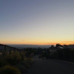 カリフォルニアのばあさんブログ