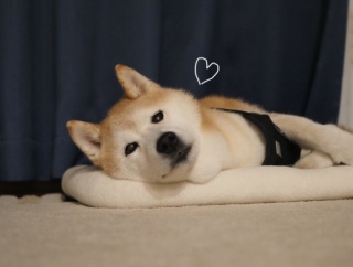 とほほ…な３連休