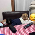 ひとりで寝るモコ。