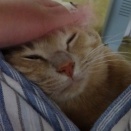 お休み