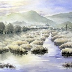 シニアから始めた透明水彩画