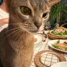 自家製トマトソースのソーセージパスタと、チキンのグリルとかの夜ごはん
